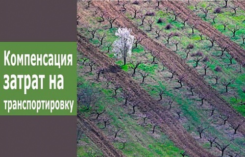 Экспортерам российской агропродукции выделили миллиард рублей на компенсацию затрат на транспортировку